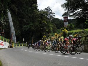 Soal Plaza di Lembah Anai, Wagub Sumbar Pastikan Tak Ganggu Hutan Soal Plaza di Lembah Anai, Wagub Sumbar Pastikan Tak Ganggu Hutan