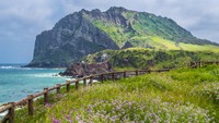 Video Destinasi Impian di Korea Selatan: K-Star Road hingga Jeju