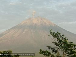 Gunung Semeru Erupsi Pagi Ini, Kolom Abu Setinggi 500 Meter dari Puncak