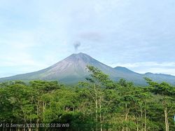 Semeru Keluarkan Abu Setinggi 500 Meter, Waspada Potensi Guguran Awan Panas
