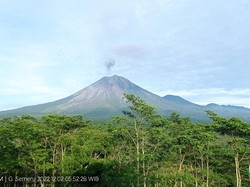 Semeru Keluarkan Abu Setinggi 500 Meter, Waspada Potensi Guguran Awan Panas