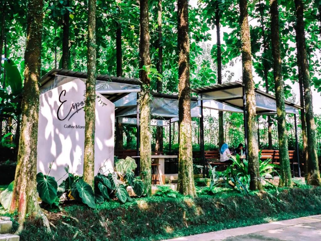 5 Kafe dan Resto Baru di Bogor-Sentul Ini Cocok untuk Hangout Akhir Pekan