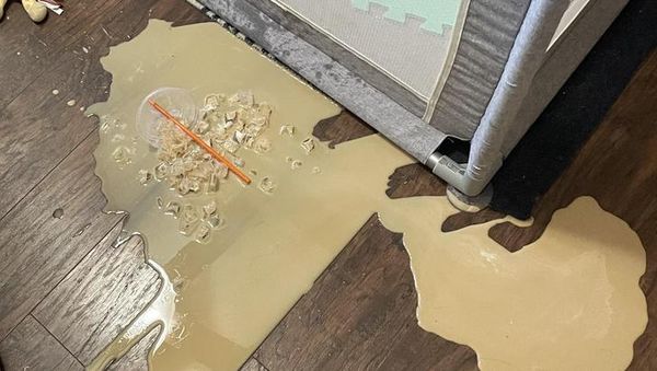 Duh! 10 Momen Apes Makanan Tumpah Ini Bikin Elus Dada