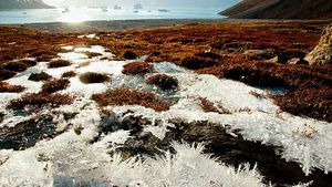 Bentuk Permafrost, Tempat Ditemukannya Virus Zombie Berumur 48 Ribu Tahun