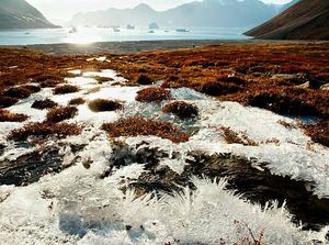 Bentuk Permafrost, Tempat Ditemukannya Virus Zombie Berumur 48 Ribu Tahun Bentuk Permafrost, Tempat Ditemukannya Virus Zombie Berumur 48 Ribu Tahun