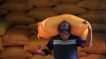 Berita dari Detik Finance: Pasokan Beras di Papua Digenjot hingga 500 Ribu Ton, Sawah 100 Ribu Ha Dibuka