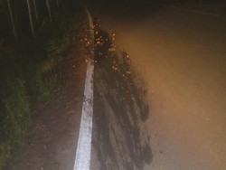 Penampakan Telur Busuk Dilempar ke Kantor NasDem Aceh-Tempat Acara Anies