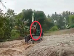 Truk Muat Las Terseret Derasnya Arus Sungai Banyuwangi, Sopir Selamat