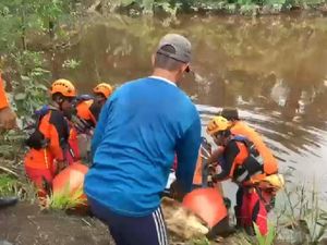 Sempat Hilang Usai Ditarik Buaya ke Sungai, Nuryasin Ditemukan Tewas Sempat Hilang Usai Ditarik Buaya ke Sungai, Nuryasin Ditemukan Tewas
