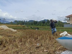 Pesan Penting buat Pemerintah Hadapi Krisis Global: Jaga Pangan & Energi!