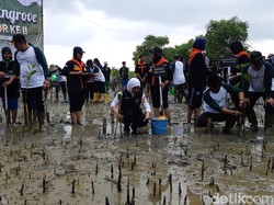 Gubernur Khofifah Tanam Mangrove di Sampang, Ajak Sedekah Oksigen