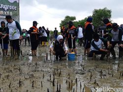 Gubernur Khofifah Tanam Mangrove di Sampang, Ajak Sedekah Oksigen