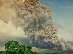 Semeru Erupsi, Jadwal Penerbangan dan Penyeberangan Masih Normal