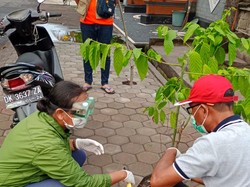 Anjing Gigit 4 Warga Gilimanuk Positif Rabies