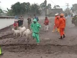 Sebanyak 2.219 Pengungsi Semeru Berada di 12 Titik Lokasi