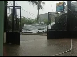 Angin Kencang Terjang Ngunut Tulungagung, Pohon Tumbang-Atap Beterbangan