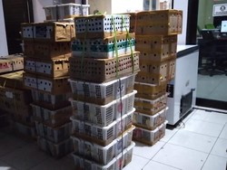 Ribuan Burung Illegal dari Bali Disita di Pelabuhan Ketapang
