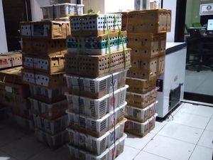 Ribuan Burung Illegal dari Bali Disita di Pelabuhan Ketapang Ribuan Burung Illegal dari Bali Disita di Pelabuhan Ketapang