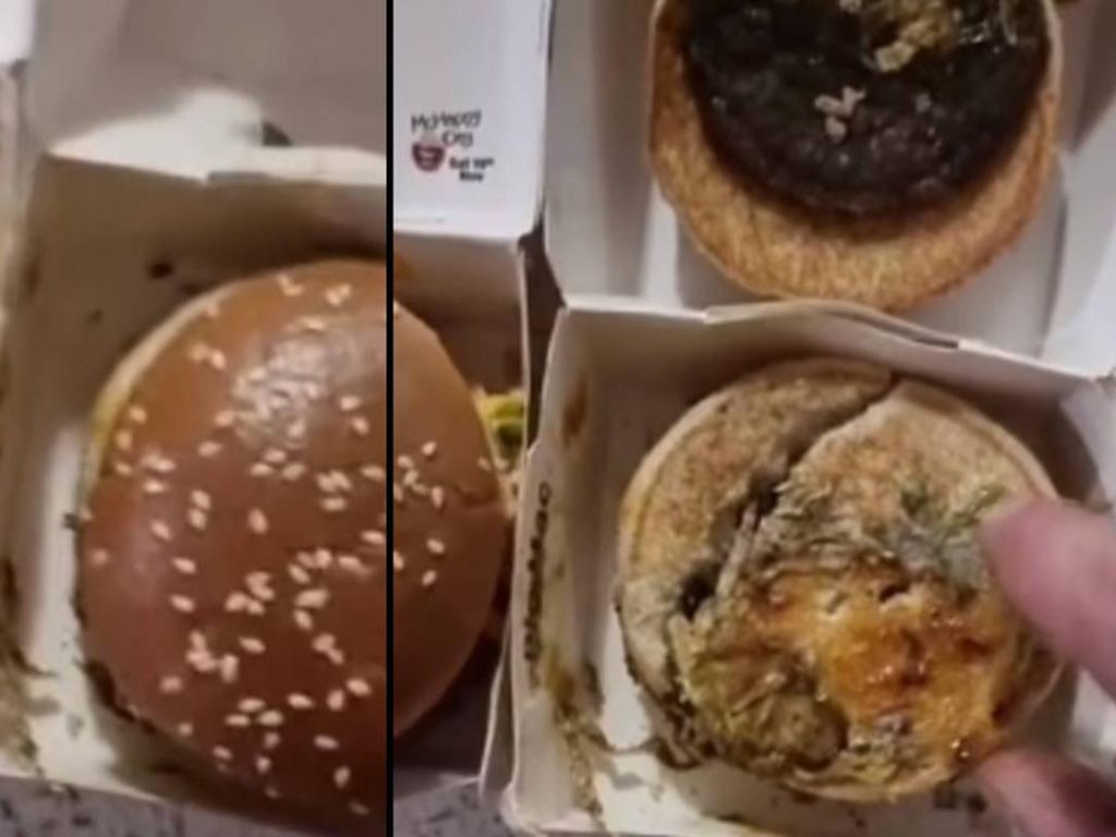 Bandingkan Burger Baru vs Burger 3 Bulan, Pria Ini Terkejut Lihat Tampilannya! Bandingkan Burger Baru vs Burger 3 Bulan, Pria Ini Terkejut Lihat Tampilannya!