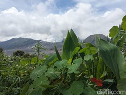 Tradisi Wulan Kapitu Digelar, Wisata Bromo Ditutup Sementara