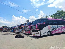 Harga Tiket Bus Makassar-Toraja Desember 2022 di Semua Perwakilan