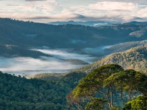 Festival Tambora Dicoret dari KEN, Disebut Sepi dan Habiskan Anggaran