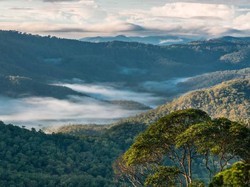 Festival Tambora Dicoret dari KEN, Disebut Sepi dan Habiskan Anggaran
