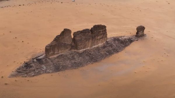Penampakan Ikan Raksasa di Lautan Gurun Arab Saudi