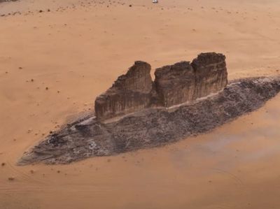 Penampakan Ikan Raksasa di Lautan Gurun Arab Saudi