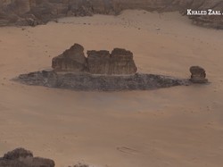 Fotografer Temukan Ikan Raksasa di Arab Saudi