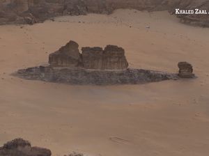 Fotografer Temukan Ikan Raksasa di Arab Saudi Fotografer Temukan Ikan Raksasa di Arab Saudi