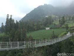 Pembangunan Selesai 100 Persen, Jembatan Kaca Bromo Siap Diresmikan