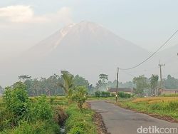 Gunung Semeru Masih Luncurkan Awan Panas, Pagi Ini Sejauh 1000 Meter
