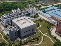 Kata Bos WHO soal Asal-usul COVID-19