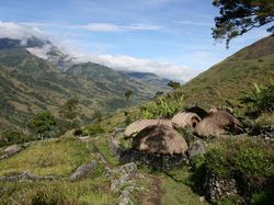 10 Gunung Tertinggi di Indonesia, Ada 1 Terasa Asing
