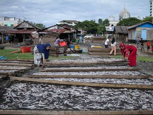 Mengintip Produksi Ikan Asin di Aceh