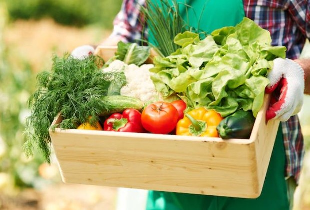 Menu sehat/ foto: Freepik/ gpointstudio Sayuran