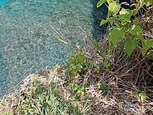 Merajut Asa di Nusa Penida Merajut Asa di Nusa Penida