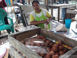 Harga Telur di Bantul Tembus Rp 30 Ribu/Kg, Dinas: Faktor Jelang Nataru-Bansos