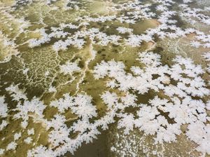 Brrr... Bunga Es Mekar di Danau Garam Yuncheng China Brrr... Bunga Es Mekar di Danau Garam Yuncheng China