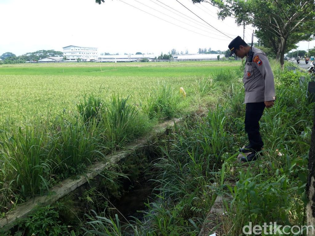 Miris, Bayi Merah Ditemukan Tewas di Parit Jalan Solo-Semarang Boyolali Miris, Bayi Merah Ditemukan Tewas di Parit Jalan Solo-Semarang Boyolali