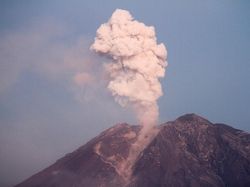 Singapura Imbau Warganya Tunda ke Indonesia Gegara Erupsi Semeru