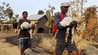 Warga Evakuasi Ternaknya Usai Erupsi Semeru