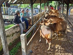 Ada Upacara Ida Bhatara, Operasional Pasar Bebandem Dibatasi 3 Hari