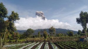 Potret Erupsi Gunung Kerinci Keluarkan Abu Pekat Setinggi 700 Meter
