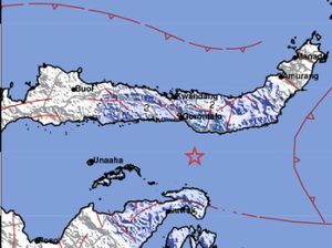 Gempa Kembali Guncang Gorontalo Utara, Terkini Berkekuatan M 4,6 Gempa Kembali Guncang Gorontalo Utara, Terkini Berkekuatan M 4,6