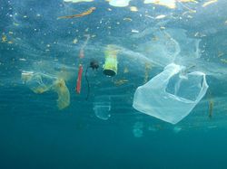 Alat Makan Plastik Sekali Pakai Haram di Inggris
