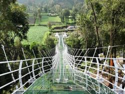 Penampakan Jembatan Kaca Bromo, Wisata Baru Uji Adrenalin