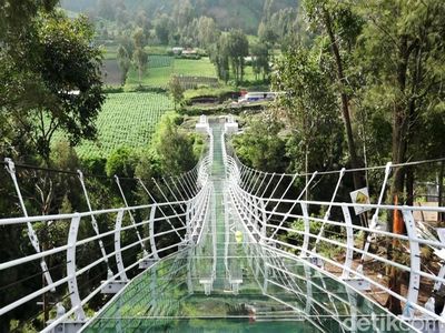 Penampakan Jembatan Kaca Bromo, Wisata Baru Uji Adrenalin