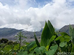 Jelang Libur Nataru 2023, Bromo hingga Wisata Malang-Banyuwangi Diburu Warga